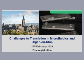 Workshop MFMETII debate desafios da tradução em Microfluídica e Organ-on-Chip 