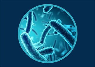 Encontro | Prevenção e Controlo de Legionella nos Sistemas de Água